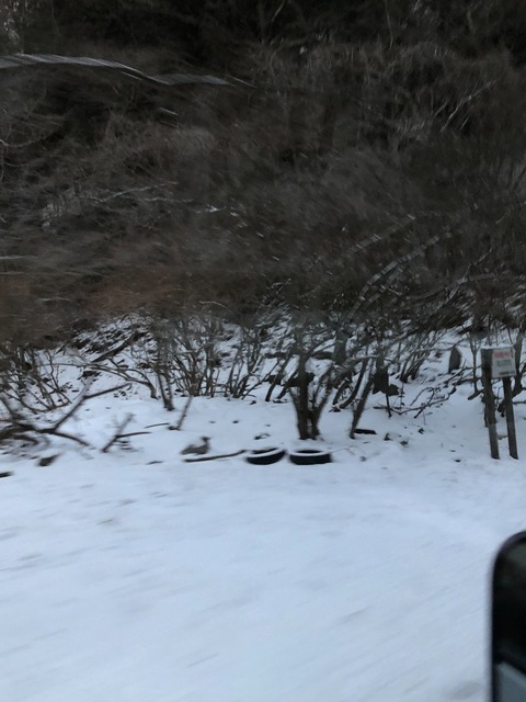 B9A886E2-4536-4AFE-87E3-EA8B7B9D74A6.jpeg